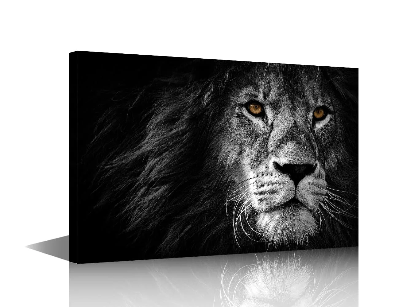Obraz na plátně lev 40×60 cm s rámem černobílý